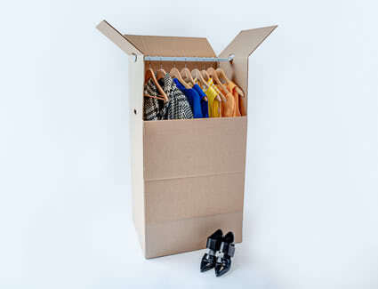 Wardrobe box including hanging rod